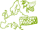 European honey provider