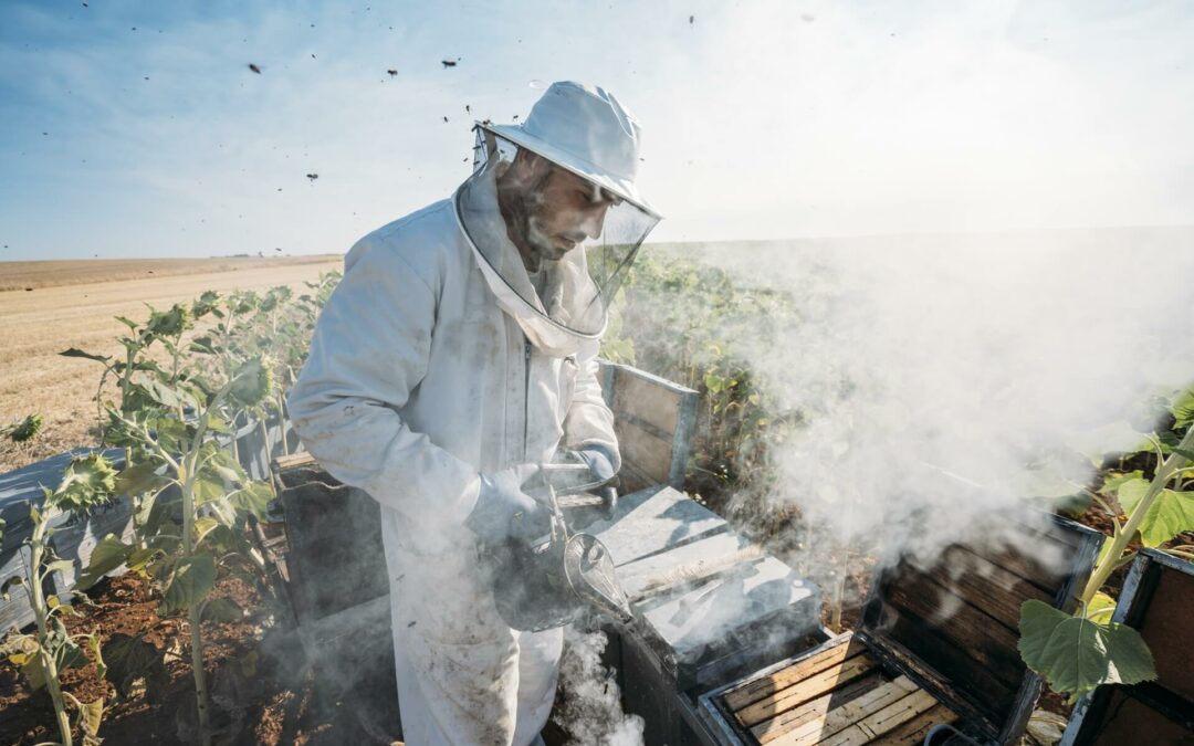 Wholesale European honey producers