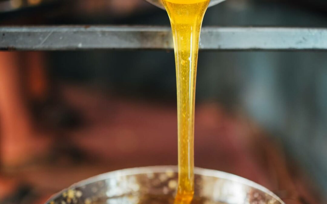 Worldwide honeydew honey distribution