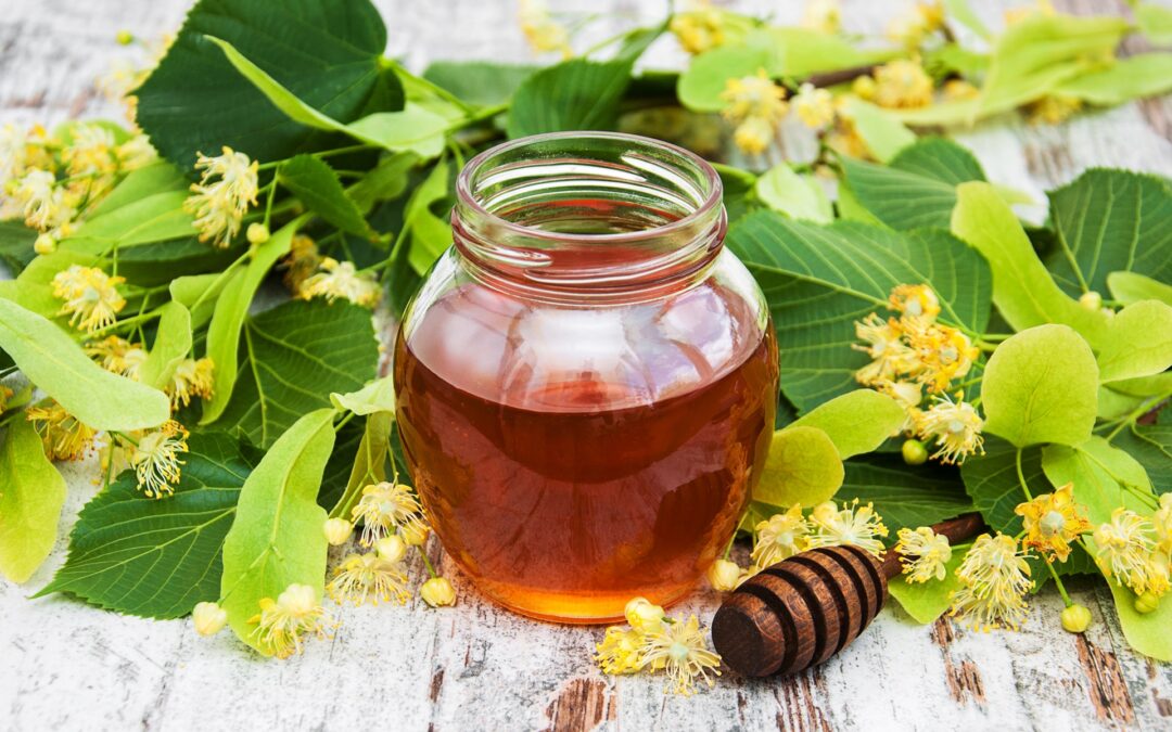 Europe wholesale linden honey distributor