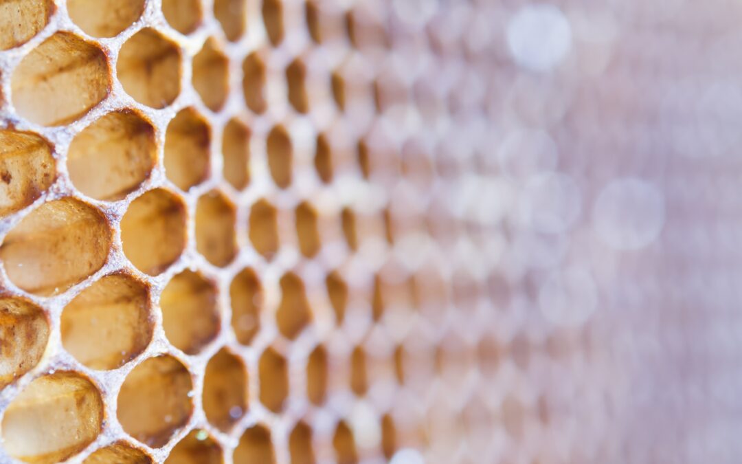 Organic low cost Czech Republic honey
